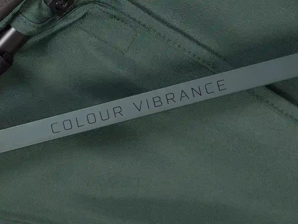 Vista superior carrito EZZO Euro Cart Jungle silla ligera